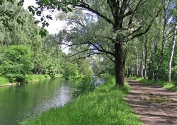 Sokolniki Park